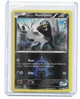 Team Aqua's Poochyena
