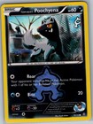 Team Aqua's Poochyena