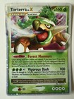 Torterra LV.X