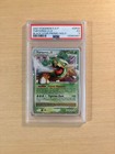 Torterra LV.X