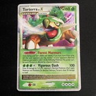 Torterra LV.X