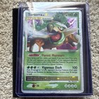 Torterra LV.X