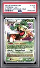 Torterra LV.X