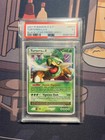 Torterra LV.X