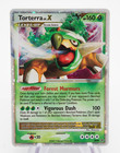 Torterra LV.X