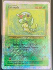 Caterpie