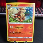 Arcanine