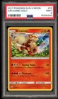 Arcanine