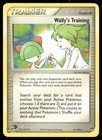 Wally's Training