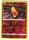 Torchic