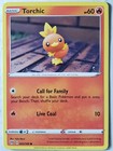 Torchic