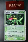 Sceptile ex