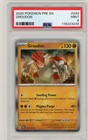 Groudon