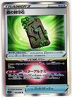Forest Seal Stone