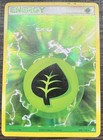 Grass Energy