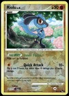 Riolu