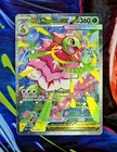 Mega Meganium ex