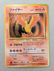 Mysterious Fossil