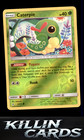 Caterpie