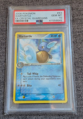 Wartortle