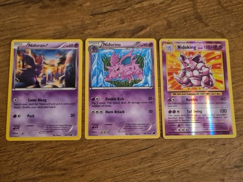 Nidoking