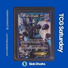 Thundurus EX