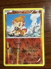Chimchar