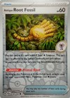 Antique Root Fossil
