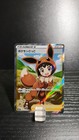 Poke Kid