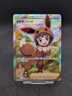 Poke Kid