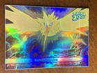 Enter Zapdos
