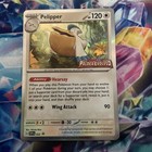 Pelipper