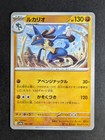 Lucario