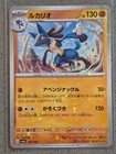 Lucario
