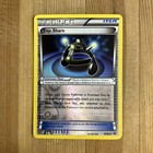 Exp. Share