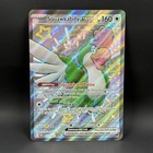 Squawkabilly ex