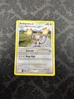 Ambipom