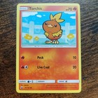 Torchic