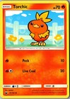 Torchic