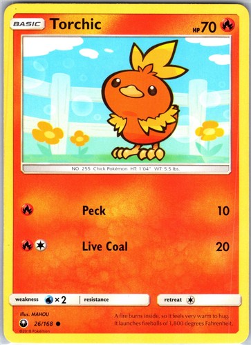 Torchic