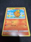 Torchic