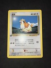 Pidgey