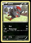Zorua