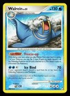Walrein