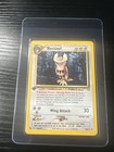 Noctowl