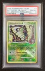 Butterfree FB
