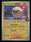 Team Rocket's Mareep