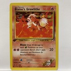Blaine's Growlithe