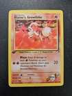 Blaine's Growlithe