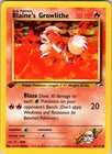 Blaine's Growlithe